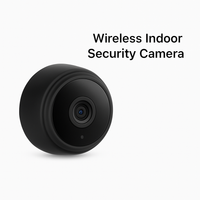 Peace of Mind Mini Camera™